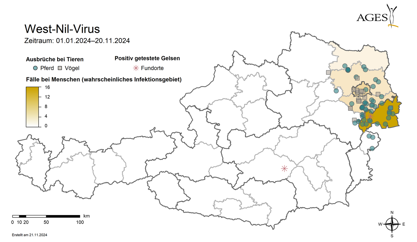 Farbige Flächen: Wahrscheinliche Infektionsgebiete (NUTS 3-Region) in Österreich von West-Nil-Fieber-Fällen (n=34). Nicht enthalten sind wahrscheinlich im Ausland erworbene Infektionen (n=2). Punkte: West-Nil-Virus-Ausbrüche bei Tieren 2024 Sterne: West-Nil-Virus-Nachweise bei Gelsen (Vergrößert das Bild in einem Dialog Fenster)