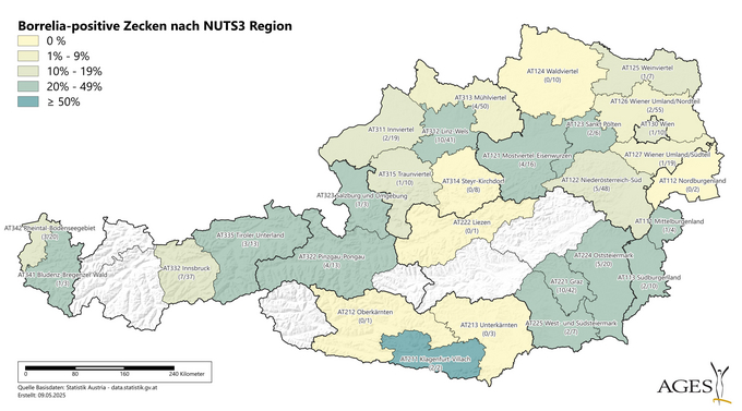Borrelia-positive Zecken nach NUTS3 Region (Vergrößert das Bild in einem Dialog Fenster)