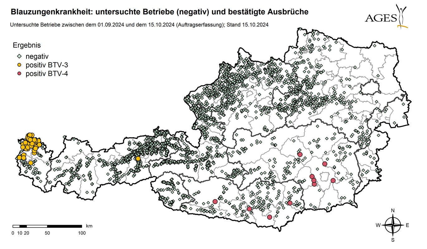 Österreichkarte: Eingezeichnet sind Ausbrüche und Seit dem 01.09.2024 in Österreich untersuchte Betriebe mit negativem Ergebnis (3.200) (Vergrößert das Bild in einem Dialog Fenster)