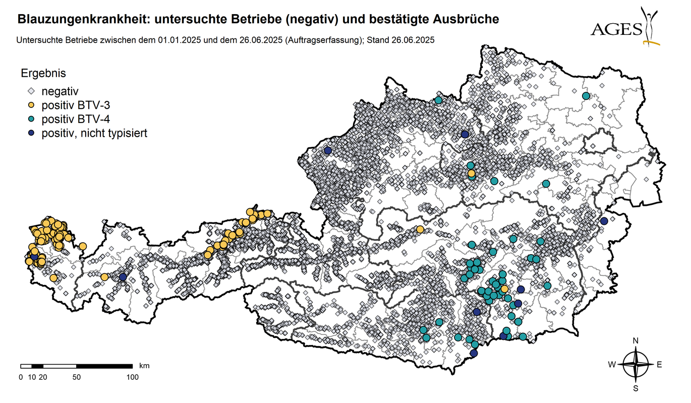 Österreichkarte: Eingezeichnet sind Ausbrüche und seit dem 01.01.2025 in Österreich untersuchte Betriebe mit negativem Ergebnis (10.380) (Vergrößert das Bild in einem Dialog Fenster)