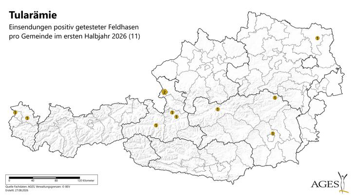© AGES Österreichkarte Funde positiver Feldhasen