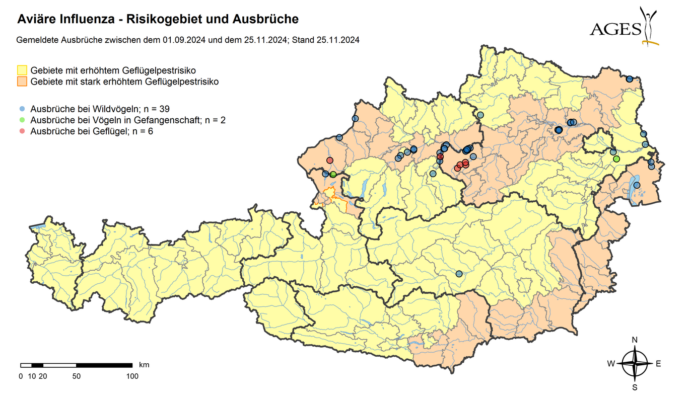 Risikogebiete und HPAI-Ausbrüche seit September 2024 (Vergrößert das Bild in einem Dialog Fenster)