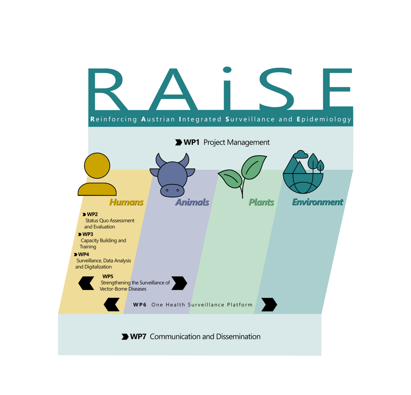 Darstellung RAISE Workpackages 