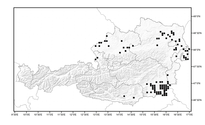 © AGES / S. Follak & M. Schwarz Verbreitung der Aleppo-Hirse in Österreich (Vergrößert das Bild in einem Dialog Fenster)