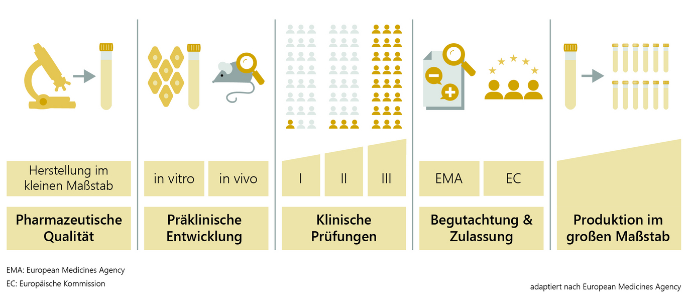 Keine Kontrollen, keine Grenzwerte: Arzneimittelrückstände im