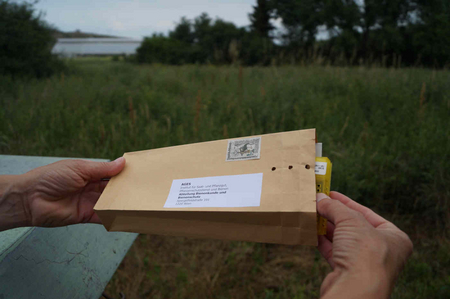 AGES Five cages with live bees are sent by mail to AGES - Department of Apiology and Bee Protection. (Enlarges Image in Dialog Window)