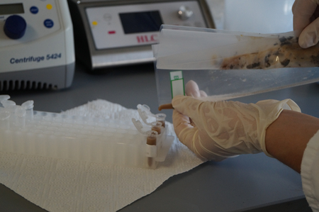 AGES The homogenized concentrate is filled - now it is ready for virus analysis. (Enlarges Image in Dialog Window)