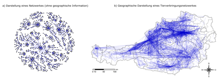© AGES grafische Darstellung Gesamtverbringungsanalysen (Vergrößert das Bild in einem Dialog Fenster)