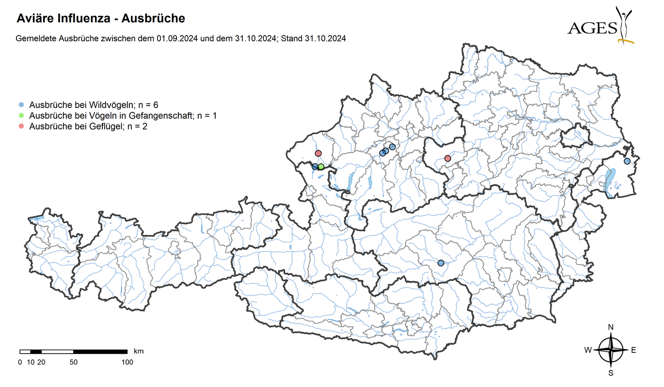 HPAI-Ausbrüche seit September 2024 (Vergrößert das Bild in einem Dialog Fenster)