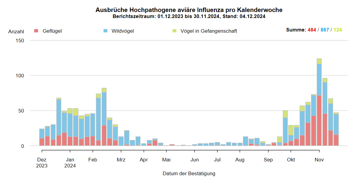 Verlaufsgrafik zu HPAI-Ausbrüchen in Europa: mit Beginn der HPAI-Saison 2024/2025 steigen im Oktober 2024 die Ausbruchszahlen an. Vermehrt sind auch Geflügelbestände und Vögel in Gefangenschaft in Europa betroffen. Die Ausbruchszahlen bei Wildvögeln steigen aktuell weiter stark an.