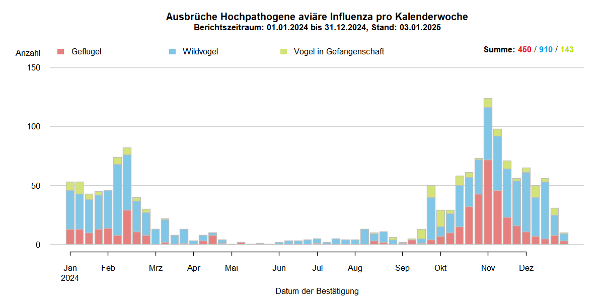 Verlaufsgrafik zu HPAI-Ausbrüchen in Europa: mit Beginn der HPAI-Saison 2024/2025 steigen im Oktober 2024 die Ausbruchszahlen an. Vermehrt sind auch Geflügelbestände und Vögel in Gefangenschaft in Europa betroffen. Die Ausbruchszahlen bei Wildvögeln steigen aktuell weiter stark an.