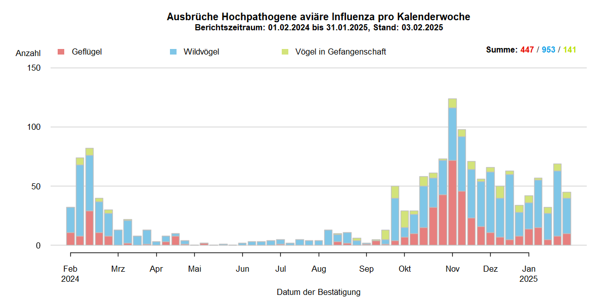 Verlaufsgrafik zu HPAI-Ausbrüchen in Europa: mit Beginn der HPAI-Saison 2024/2025 steigen im Oktober 2024 die Ausbruchszahlen an. Vermehrt sind auch Geflügelbestände und Vögel in Gefangenschaft in Europa betroffen. Die Ausbruchszahlen bei Wildvögeln steigen aktuell weiter stark an.