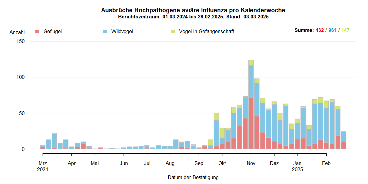 Verlaufsgrafik zu HPAI-Ausbrüchen in Europa: mit Beginn der HPAI-Saison 2024/2025 steigen im Oktober 2024 die Ausbruchszahlen an. Vermehrt sind auch Geflügelbestände und Vögel in Gefangenschaft in Europa betroffen. Die Ausbruchszahlen bei Wildvögeln steigen aktuell weiter stark an.