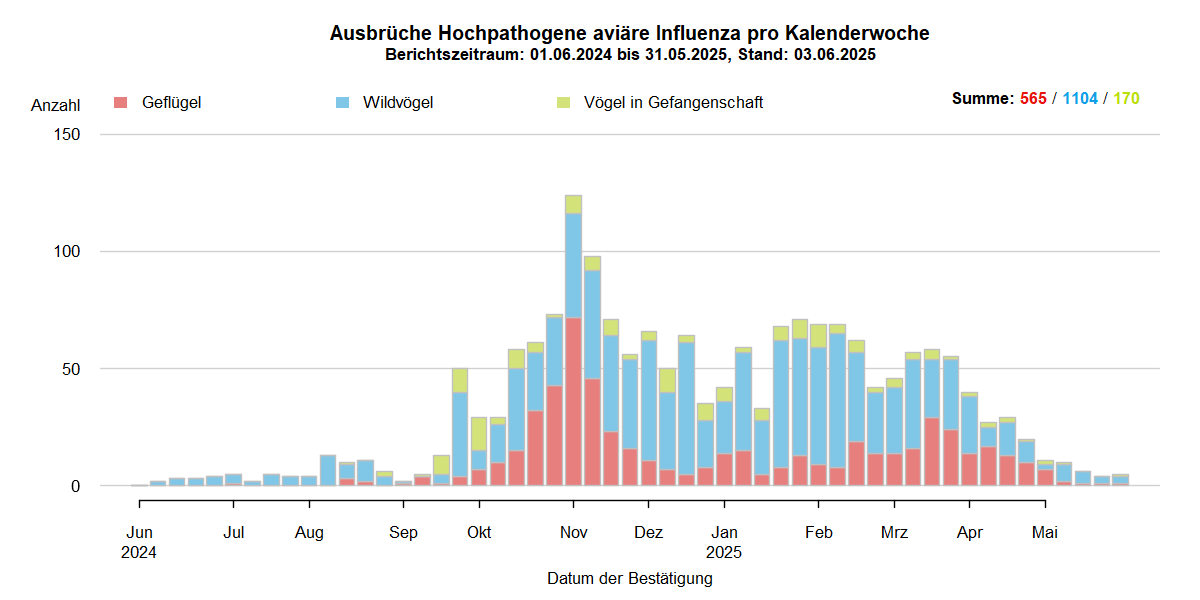 Verlaufsgrafik zu HPAI-Ausbrüchen in Europa: mit Beginn der HPAI-Saison 2024/2025 steigen im Oktober 2024 die Ausbruchszahlen an. Vermehrt sind auch Geflügelbestände und Vögel in Gefangenschaft in Europa betroffen. Die Ausbruchszahlen bei Wildvögeln steigen aktuell weiter stark an.