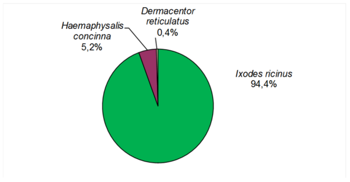 Fig. 1. species composition of 713 ticks captured from the field. (Enlarges Image in Dialog Window)