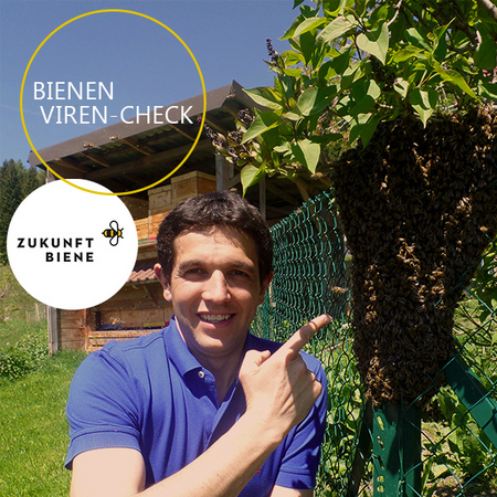 "Wir machen den Viren-Check bei unseren Bienen weil es eine wertvolle Unterstützung ist, um meine Bienenvölker vor den Auswirkungen des Varroa-Befalls zu schützen", Manfred Sackl, Imker aus Kärnten.  (Vergrößert das Bild in einem Dialog Fenster)