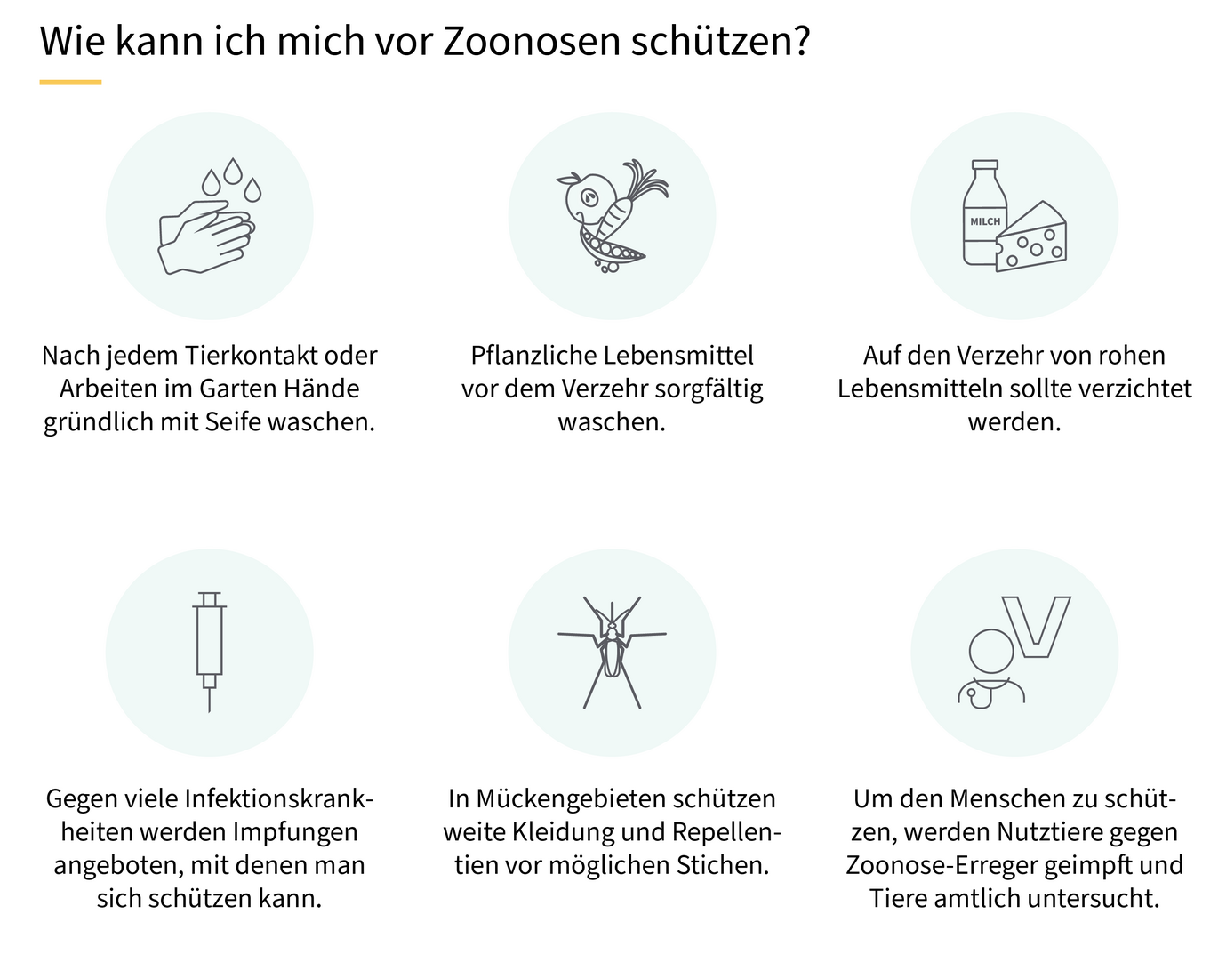 Grafische Darstellung Schutzmaßnahmen vor Zoonosen (Vergrößert das Bild in einem Dialog Fenster)